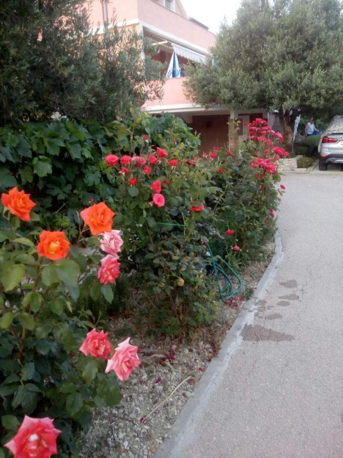 Apartment Olive Jovici  المظهر الخارجي الصورة
