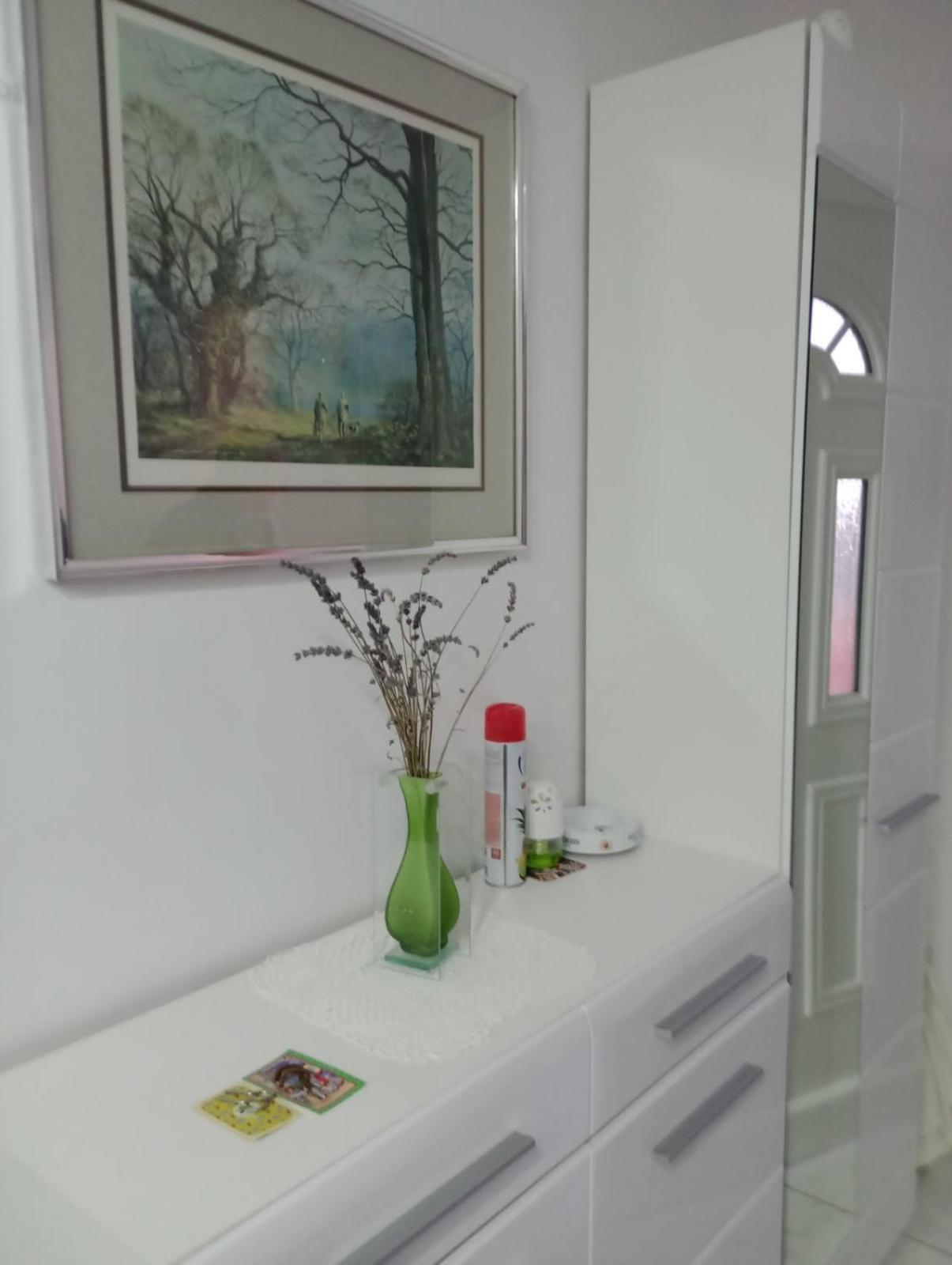 Apartment Olive Jovici  المظهر الخارجي الصورة